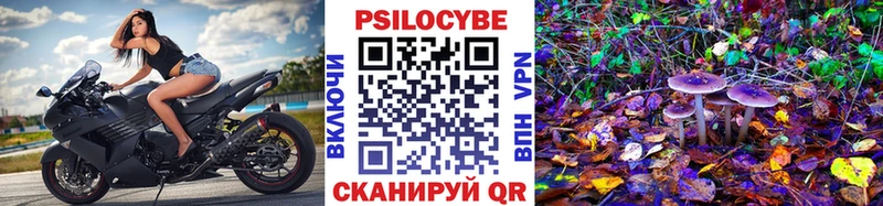Галлюциногенные грибы мицелий  Зеленодольск 